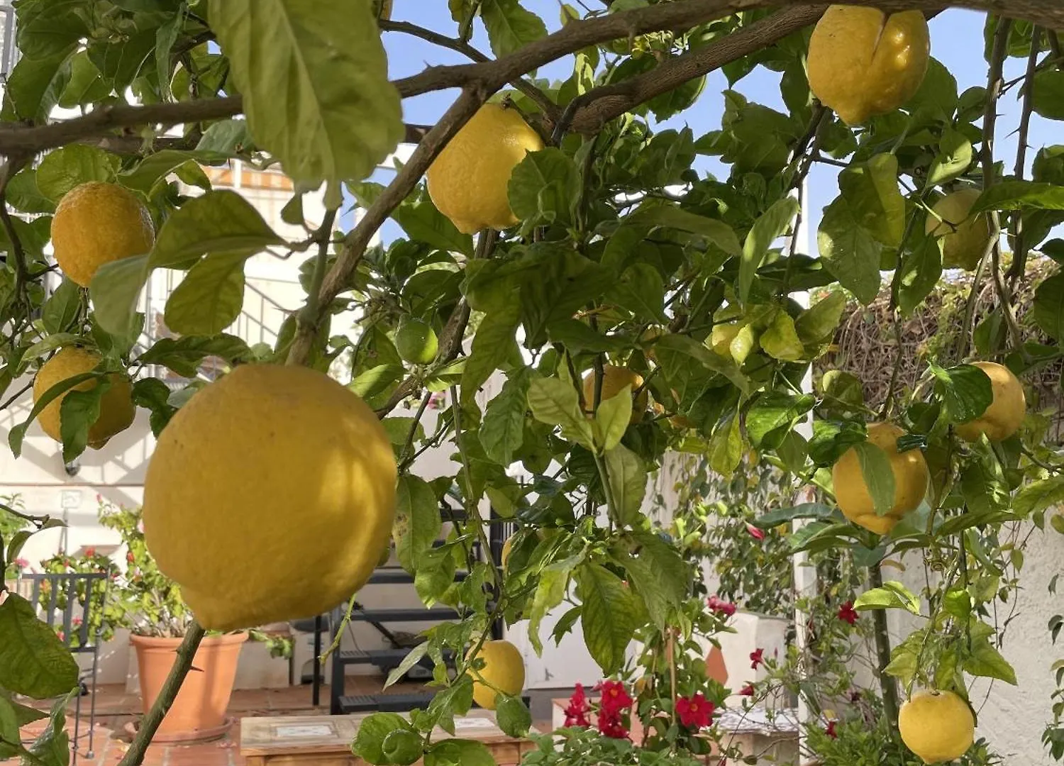 Casa Limones Villa Nerja